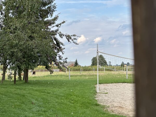 IMG_7996 IMG_7996