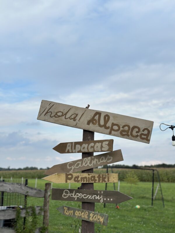 IMG_8084 IMG_8084