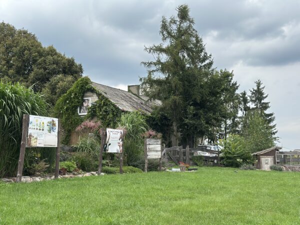 IMG_8127 IMG_8127