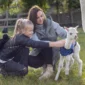 hola alpaca