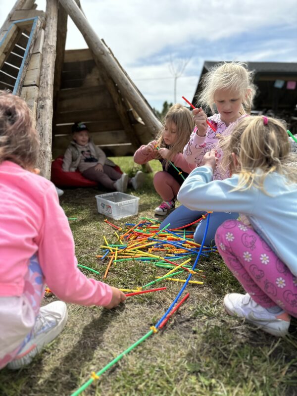 IMG_3838 IMG_3838