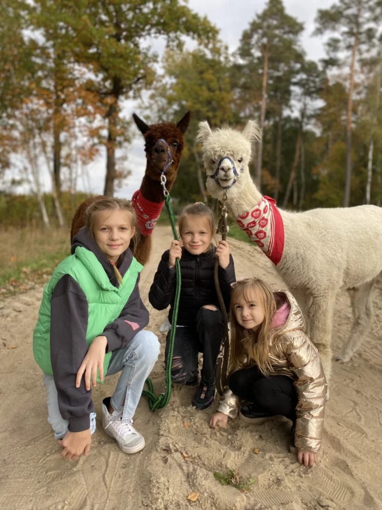 hola alpaca